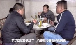 农村三农爆料视频,揭秘农村发展背后的故事